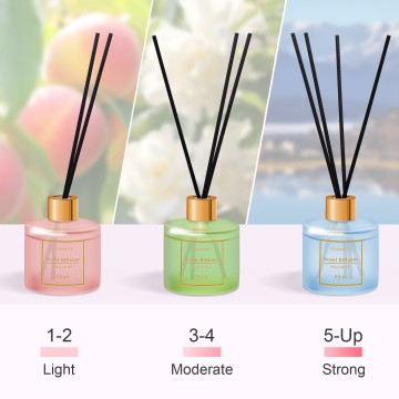 Reed Diffuser Set Household Aromatherapy Decor with Packaging Box