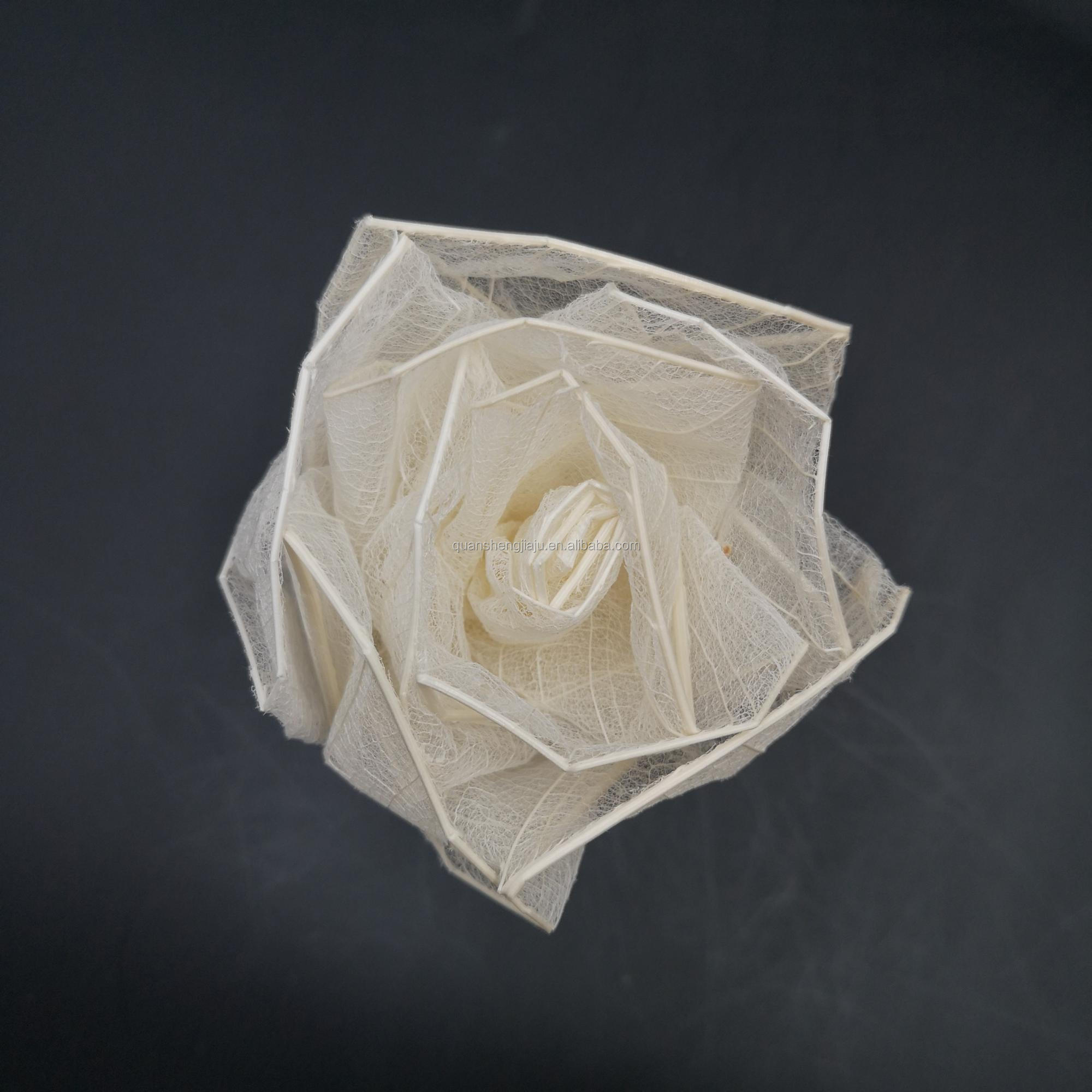  Multi-Color Natural Dried Flowers and Skeleton Leaves Vein Decoration Flower (3).jpg