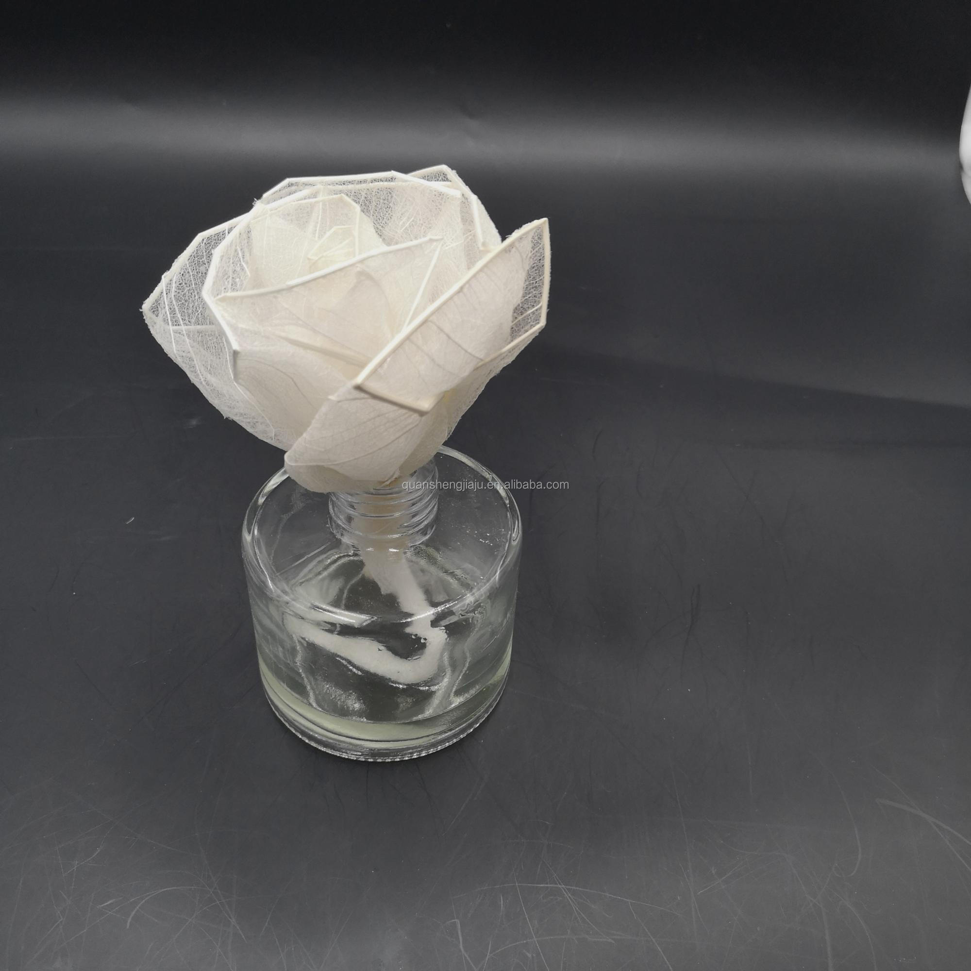  Multi-Color Natural Dried Flowers and Skeleton Leaves Vein Decoration Flower (5).jpg