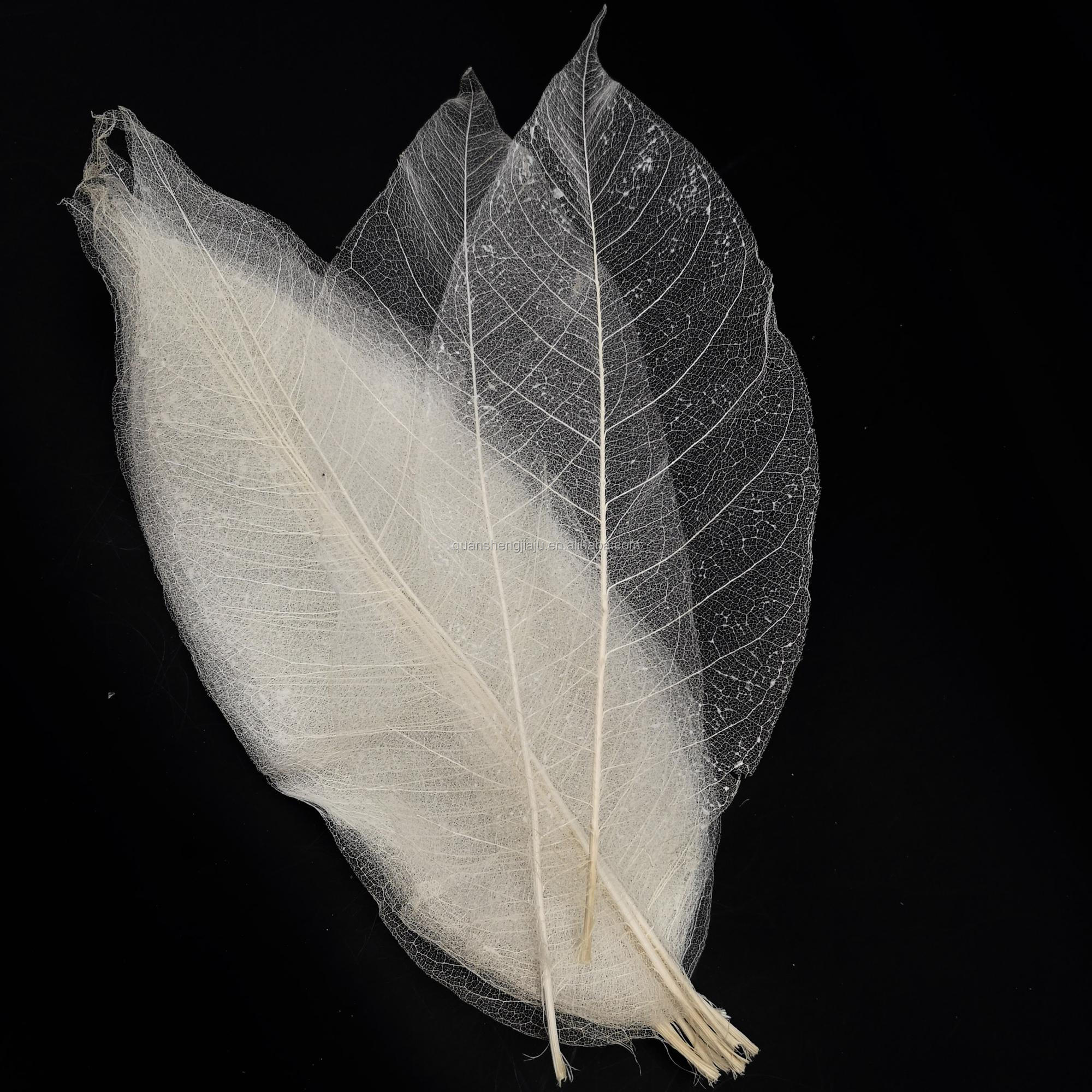  Multi-Color Natural Dried Flowers and Skeleton Leaves Vein Decoration Flower (1)